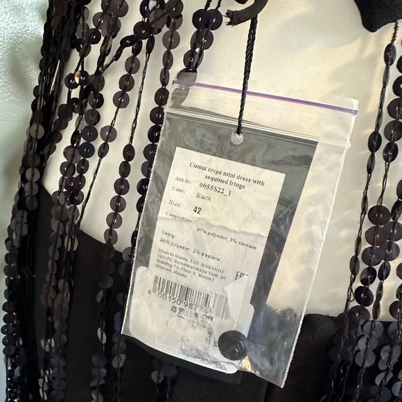 RASARIO Sequinned Fringe Dress in Crepe - Picture 13 of 15